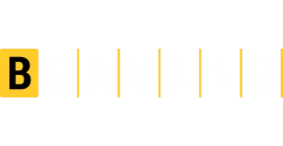 partners who work with BountyGame